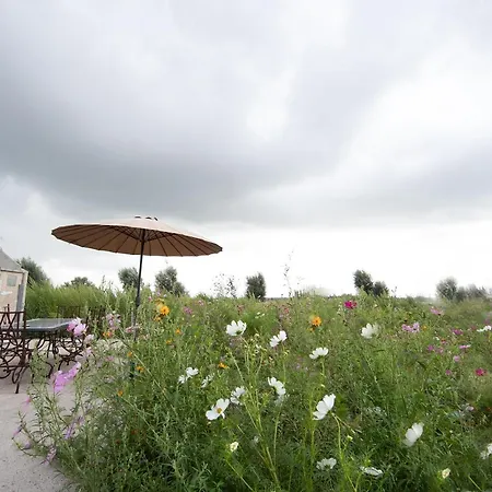Dom wakacyjny Landelijk In Met Tuin En Vijver *